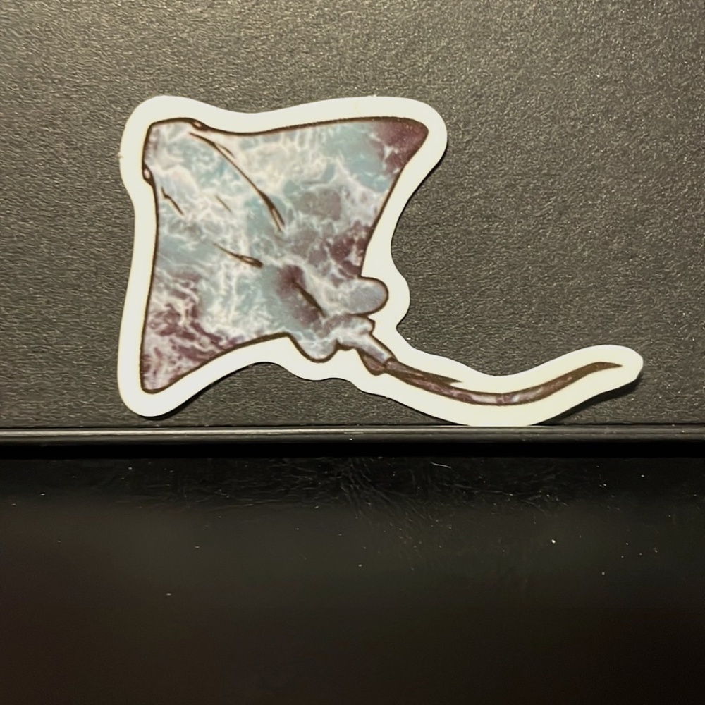 STING RAY STICKER